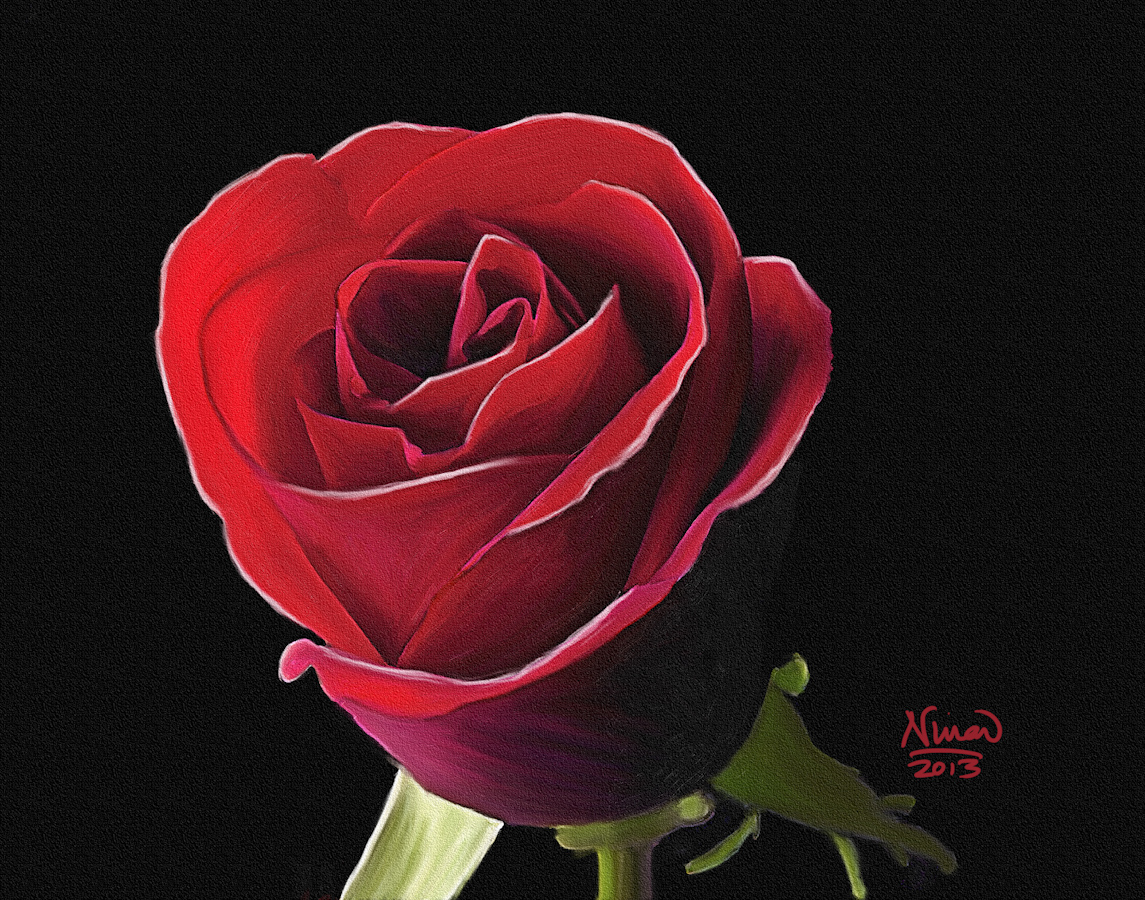 Red rose final tex